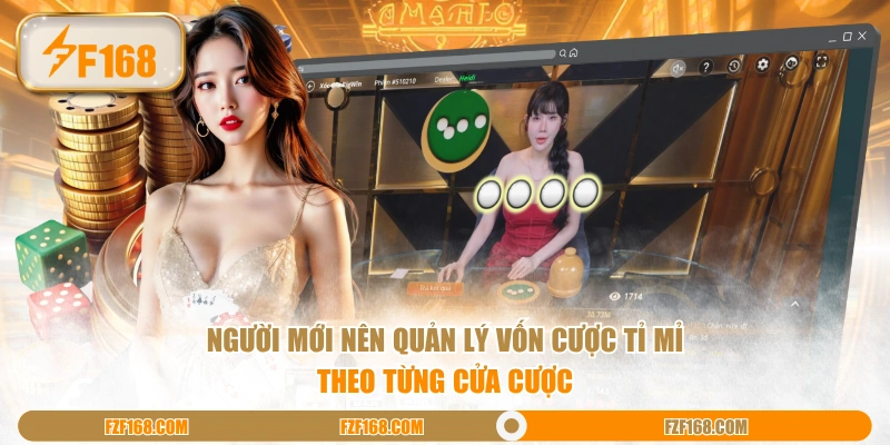 Người mới nên quản lý vốn cược tỉ mỉ theo từng cửa cược