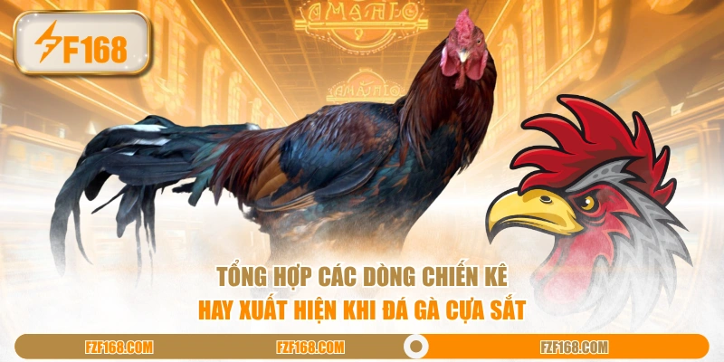 Tổng hợp các dòng chiến kê hay xuất hiện khi đá gà cựa sắt
